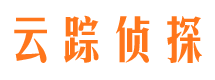 大方侦探